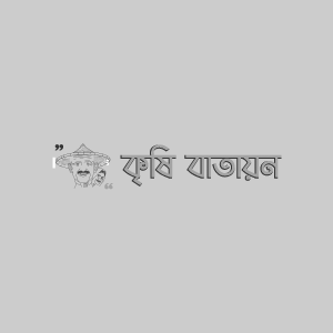 কাকরোলের জাপ পোকা